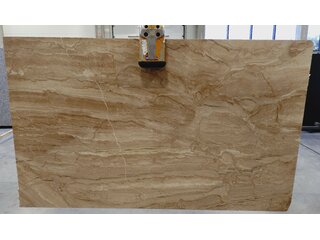 M 1882 L Daino Reale (025008)