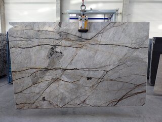 M 1869 B Silver Roots (300425)