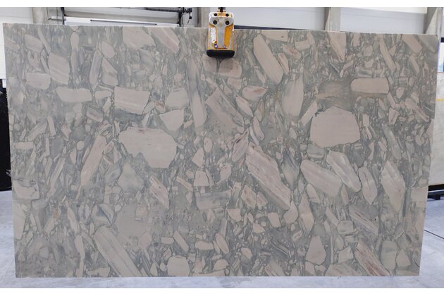 Q 058 B Cicala (027322)